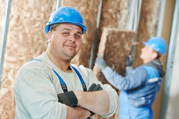 Best Insulation Installation Services in Sumner, IL